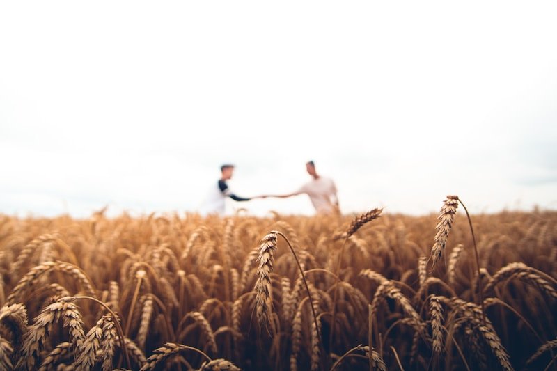 Sustainable Farming Practices