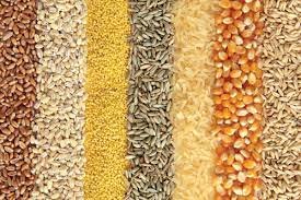 Indian Grains